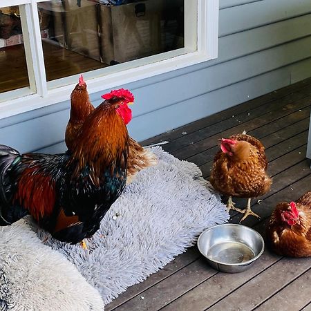Farm Stay Maple Cottage At Wilindi Estate Tyabb Luaran gambar
