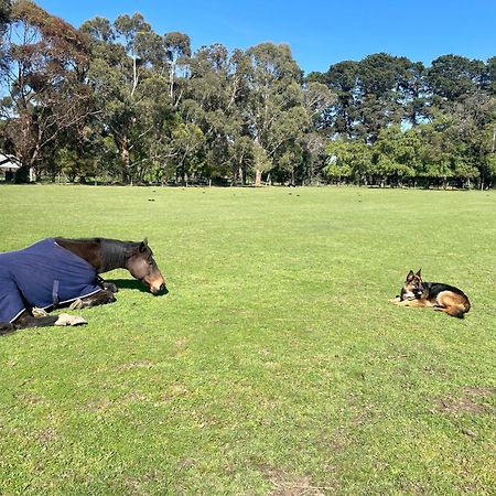 Farm Stay Maple Cottage At Wilindi Estate Tyabb Luaran gambar