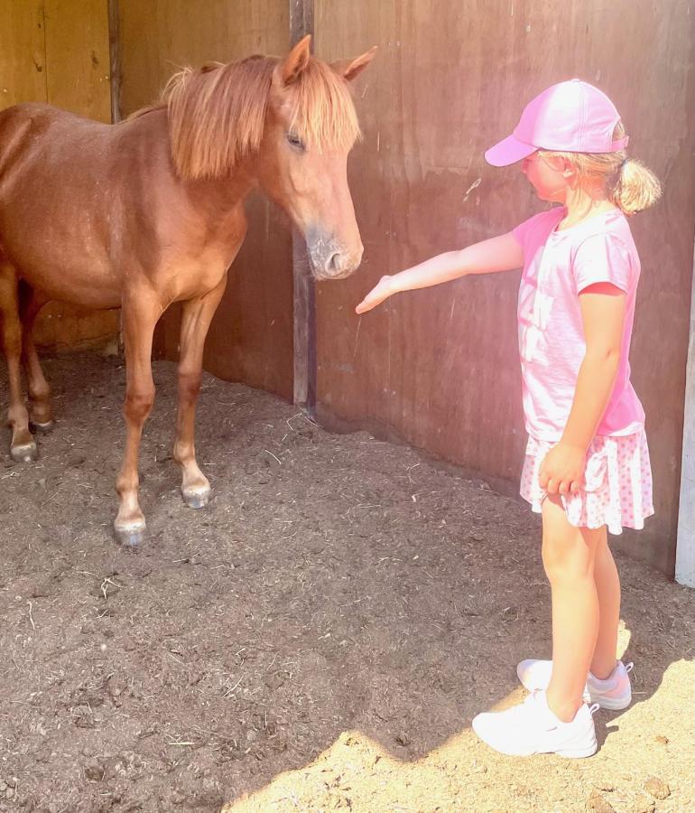 Farm Stay Maple Cottage At Wilindi Estate Tyabb Luaran gambar