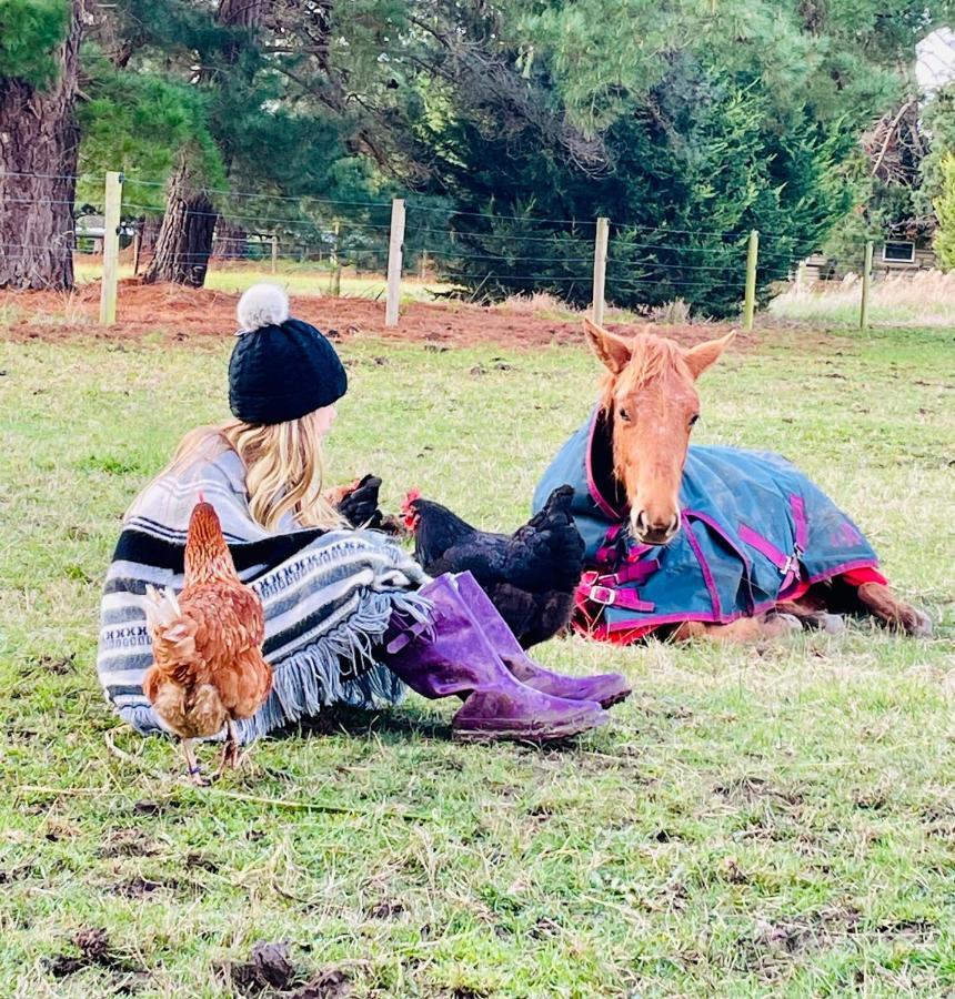 Farm Stay Maple Cottage At Wilindi Estate Tyabb Luaran gambar