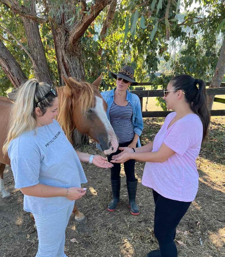 Farm Stay Maple Cottage At Wilindi Estate Tyabb Luaran gambar