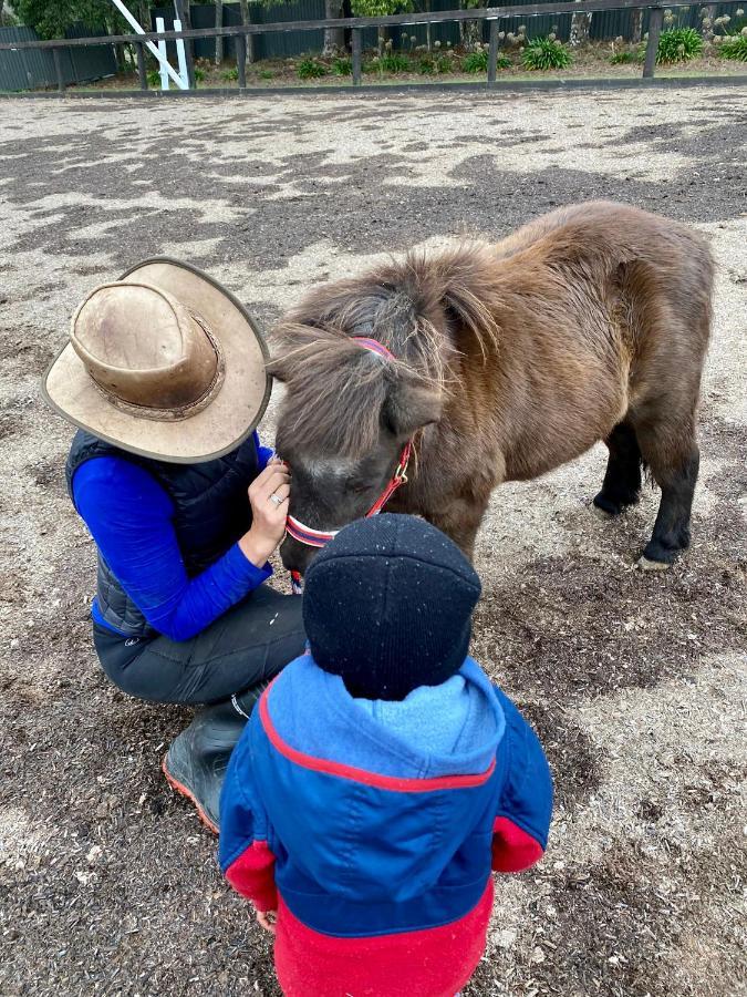 Farm Stay Maple Cottage At Wilindi Estate Tyabb Luaran gambar