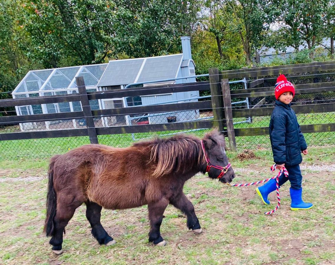 Farm Stay Maple Cottage At Wilindi Estate Tyabb Luaran gambar