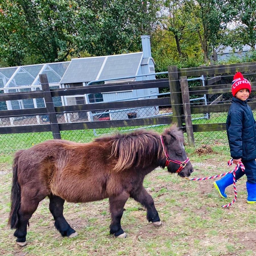 Farm Stay Maple Cottage At Wilindi Estate Tyabb Luaran gambar