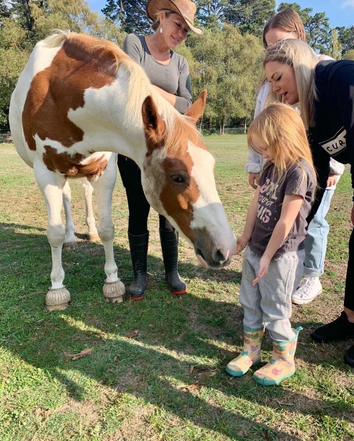 Farm Stay Maple Cottage At Wilindi Estate Tyabb Luaran gambar